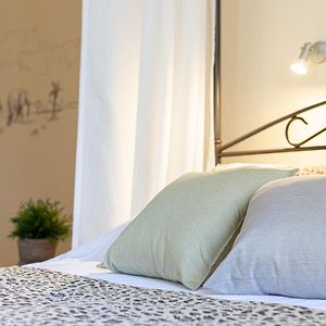 Deluxe Kamer met een King Size Bed
